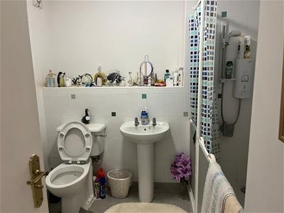 Picture 7